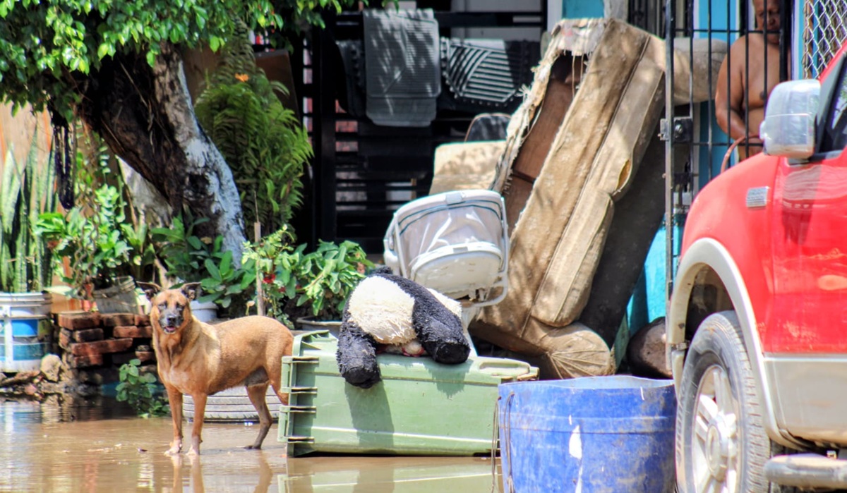Inundación tras fuerte lluvia en Mazatlán