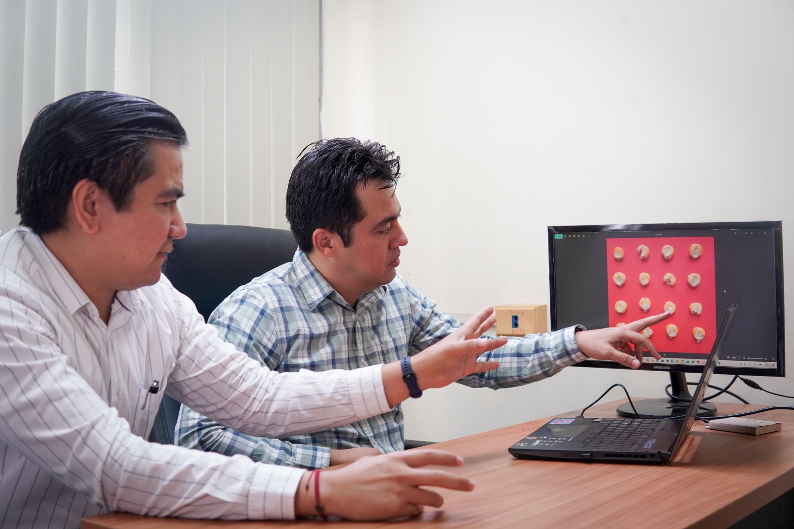 Investigadores de la UAS desarrollan tecnología para evaluar la calidad del maíz
