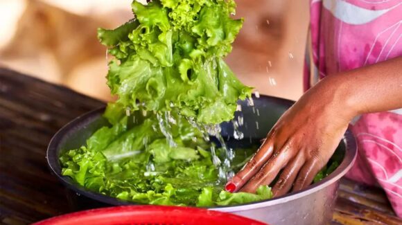 Cyclospora: por qué los desinfectantes no eliminan el parásito en la lechuga