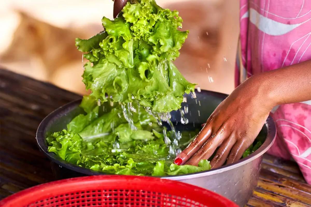 lavado de verduras