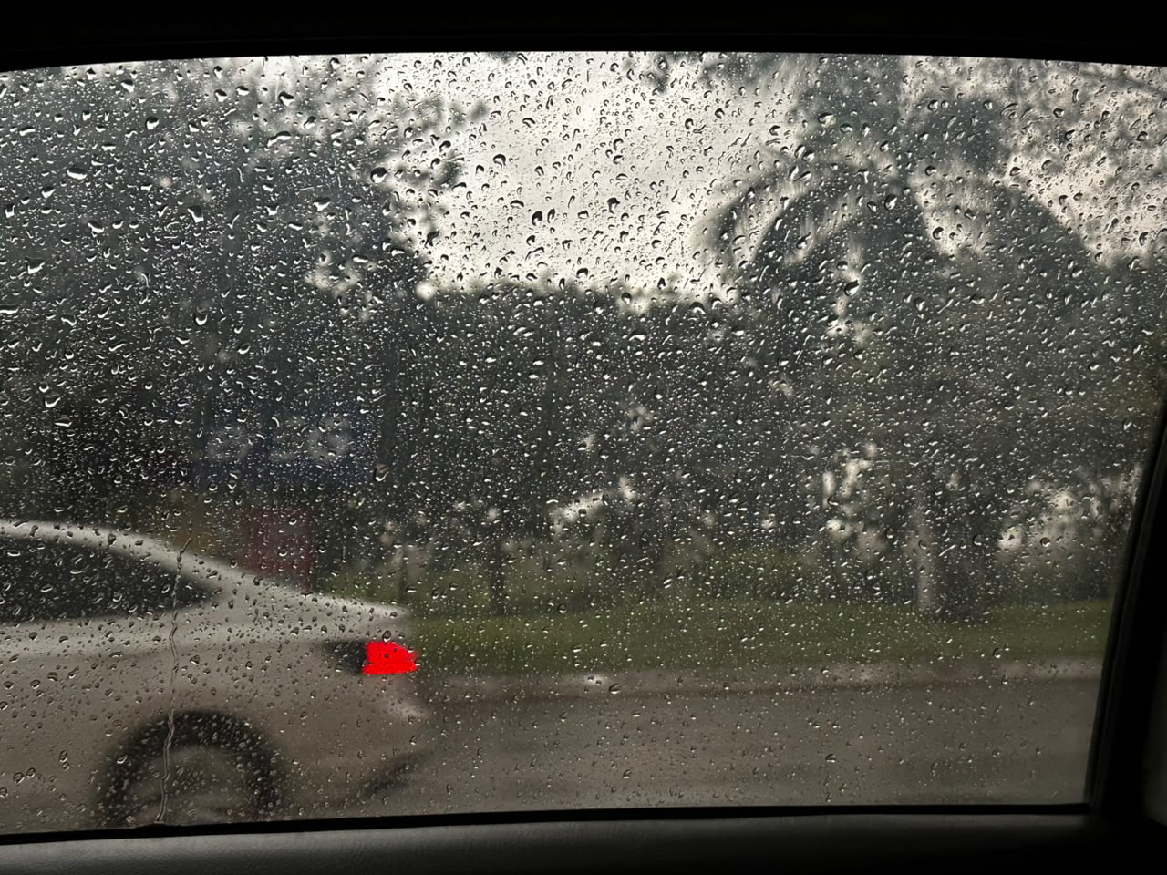 Lluvia en Sinaloa
