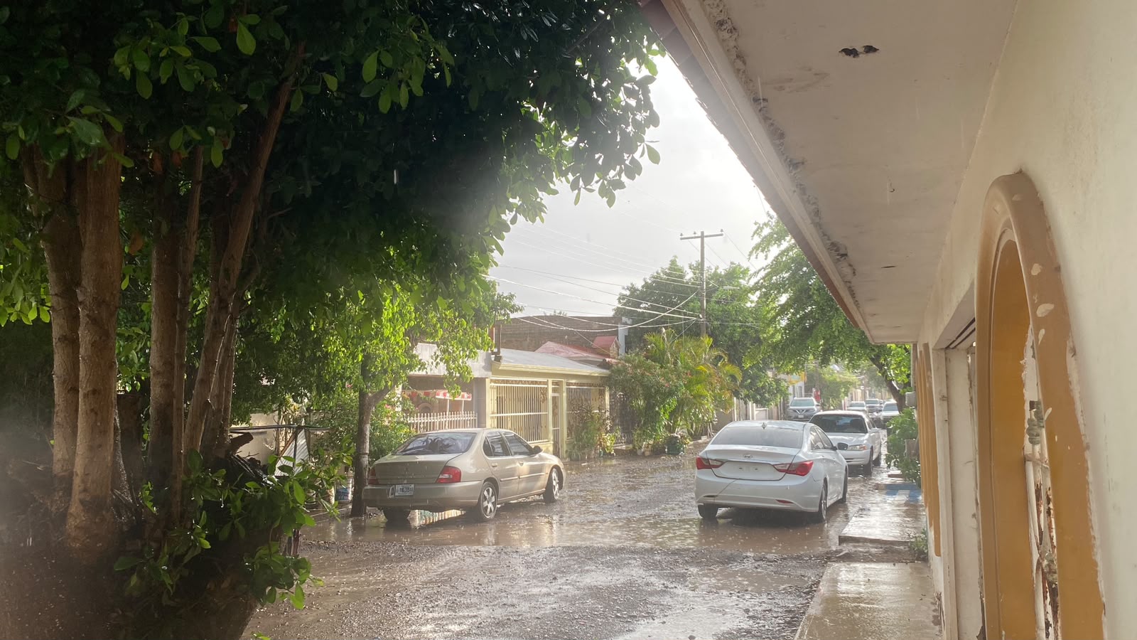 Lluvia en Guasave, Sinaloa