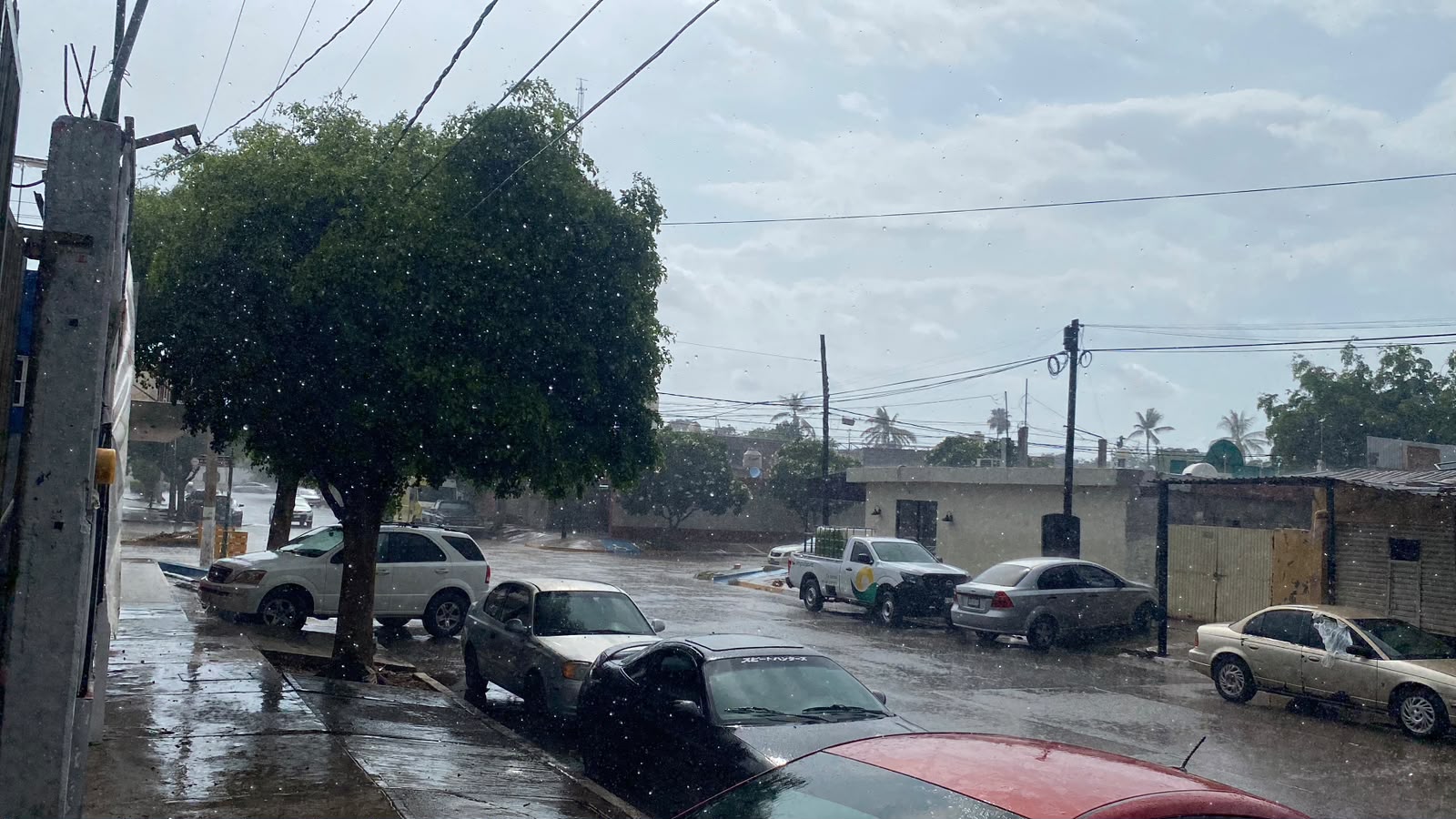 Lluvia Guasave