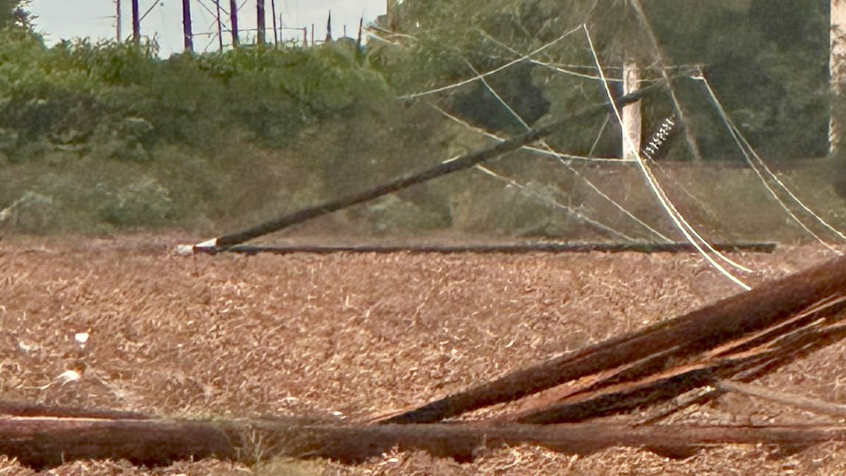 lluvias afectan la energia electrica en culiacan poniente higuera navolato poste