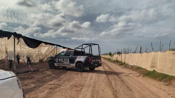 Localizan sin vida a un hombre en un campo agrícola de Juan José Ríos, Sinaloa