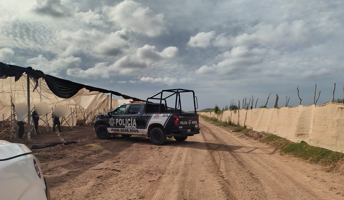 Localizan a hombre sin vida en campo agrícola de Juan José Ríos