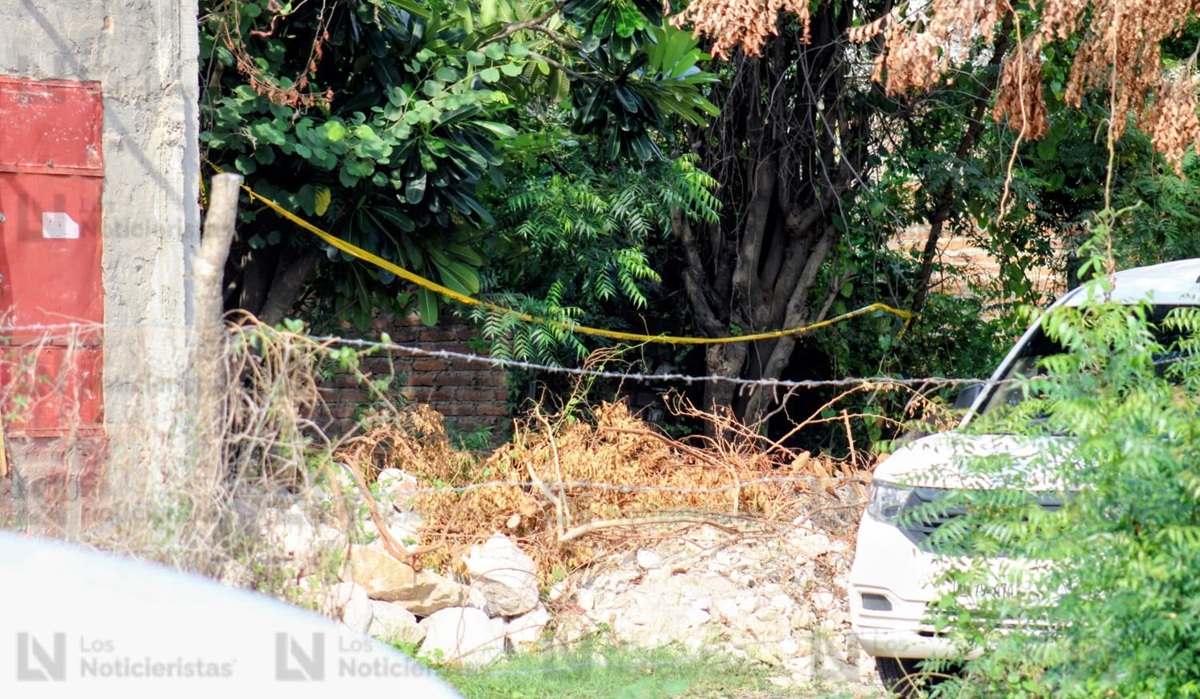 Hallan a mujer sin vida en baldío de la colonia Mazatlán III