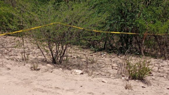Localizan tres cuerpos en un predio enmontado en El Fuerte, Sinaloa