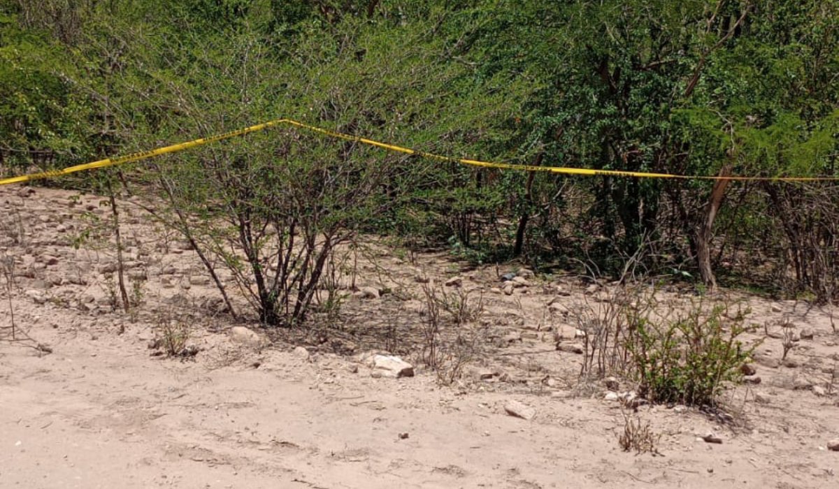 Localizan tres cuerpos en predio en El Fuerte, Sinaloa