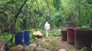 localizan e inhabilitan tres laboratorios clandestinos en choix luego