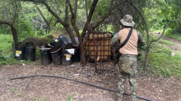 Localizan e inhabilitan tres laboratorios clandestinos en Choix; aseguran arma y municiones en Concordia, Sinaloa