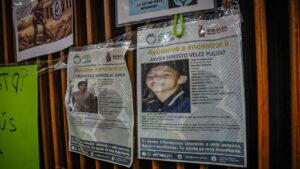 madres en lucha por tu regreso a casa se manifiestan en el congreso fotos