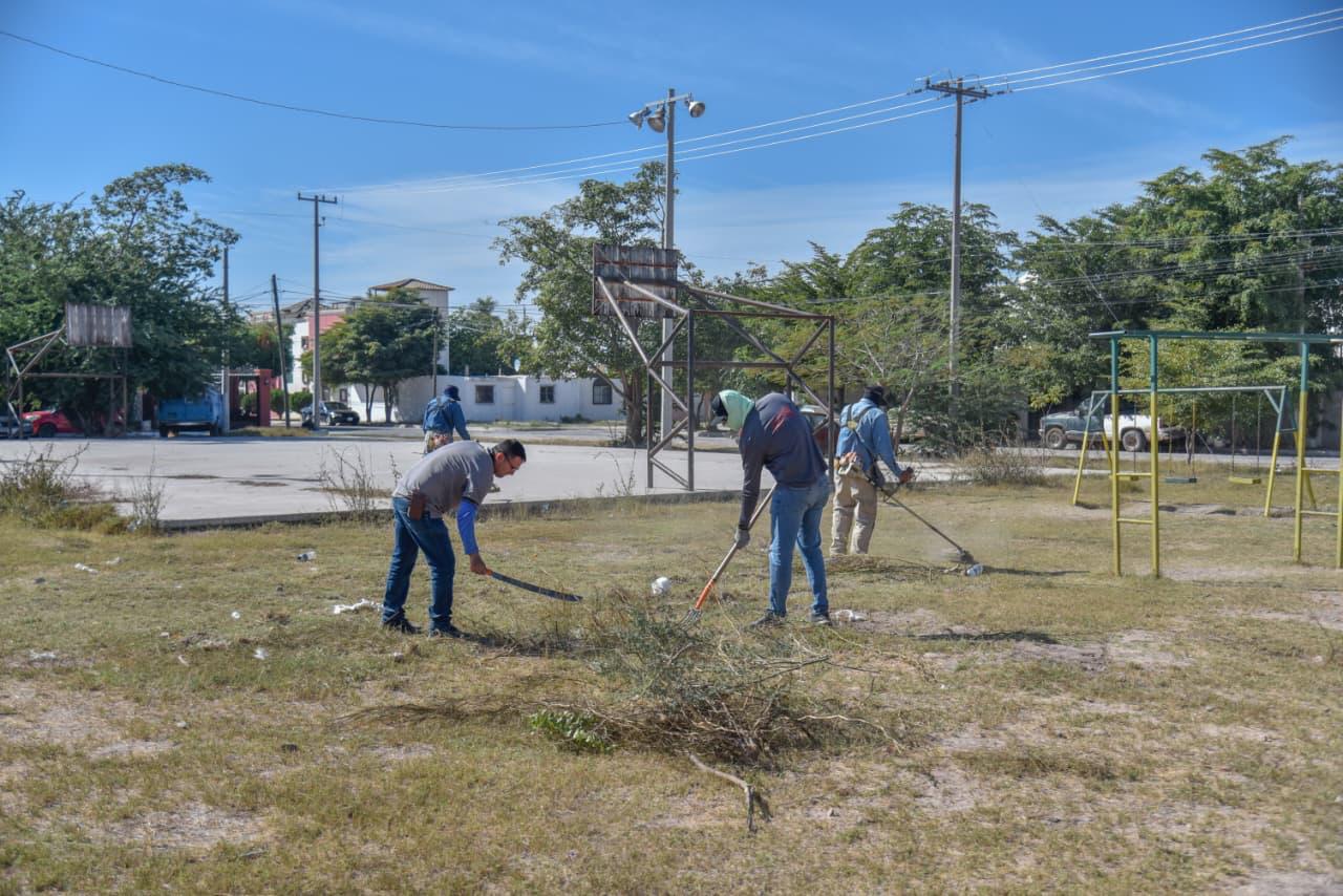 Mantenimiento a luminarias en parque de Los Mochis