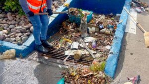 mantienen limpieza de rejillas y retiro de arboles caIdos en mazatlan