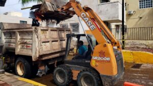 mantienen limpieza de rejillas y retiro de arboles caIdos en mazatlan sin