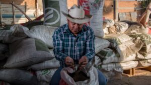 mexico fortalece la industria de fertilizantes en topolobampo sin