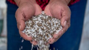 mexico fortalece la industria de fertilizantes en topolobampo sinaloa