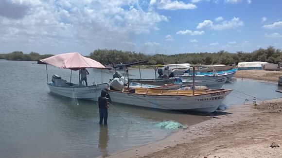 Obtienen oxigeno puro campos pesqueros de Sinaloa con la captura de jaiba; embarcaciones alcanzan los 200 kilos