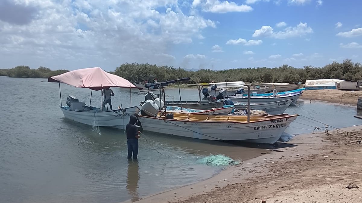 obtienen oxigeno puro campos pesqueros de sinaloa