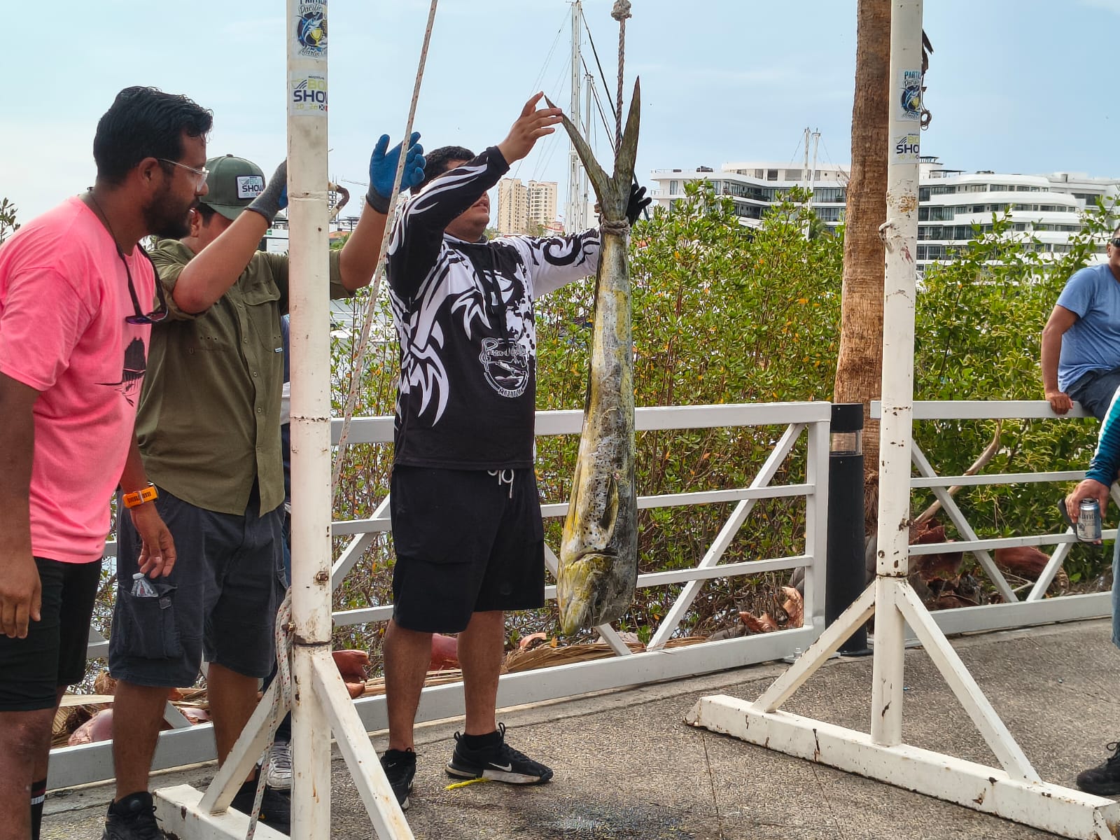 Pacific Marlin Cup 2026 en Mazatlán
