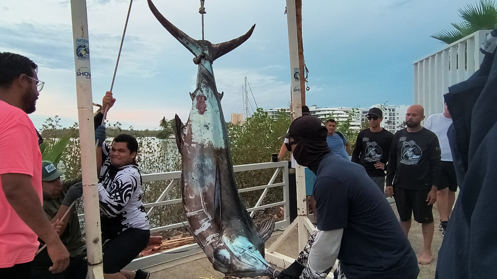 Pacific Marlin Cup 2026 en Mazatlán