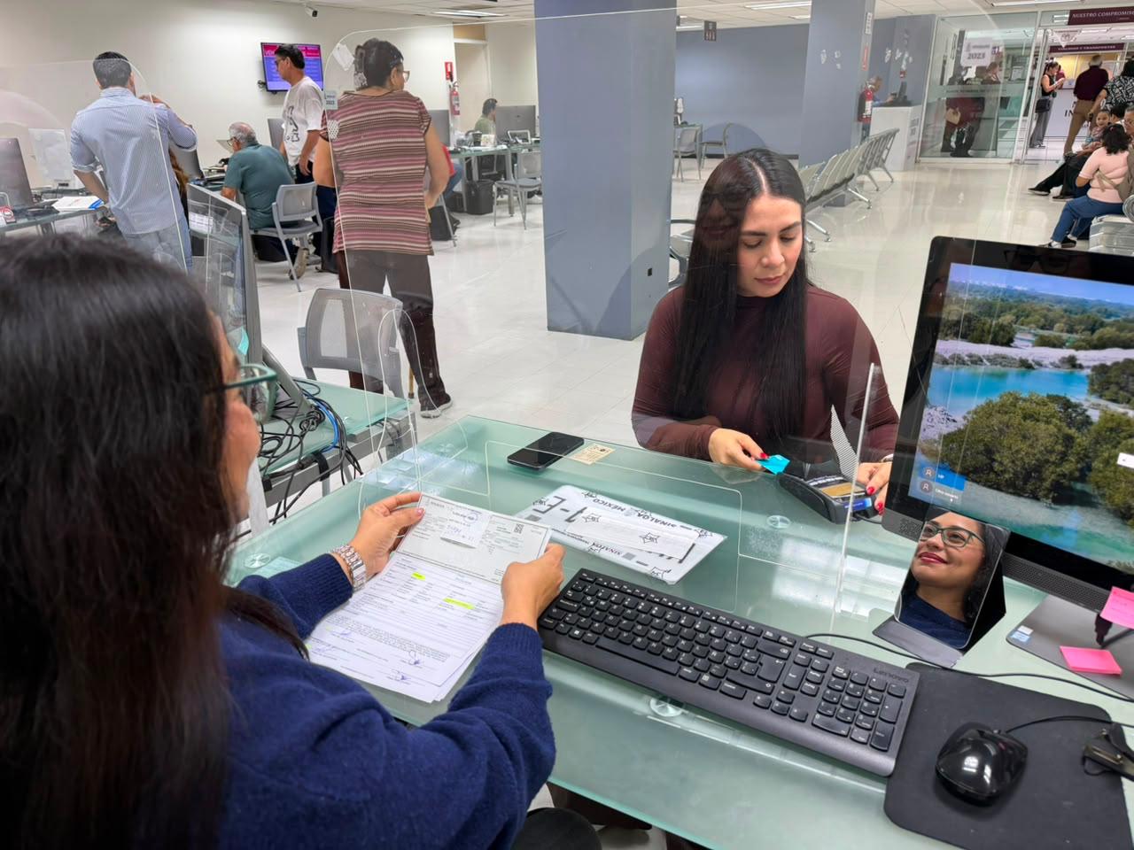Pago de impuestos vehiculares