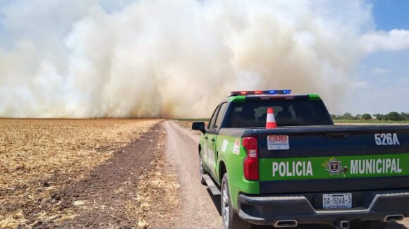 Unidad Ambiental realizó 23 intervenciones para atender reportes ecológicos y de bienestar animal en Guasave, Sinaloa