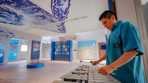 Mazatlán, Sinaloa, marcará el ritmo: CMA lanza el Foro de Percusiones 2026 con clases magistrales y especialistas invitados