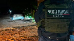 Perro asesinado con arma de fuego en El Carrizo, Ahome, Sin.