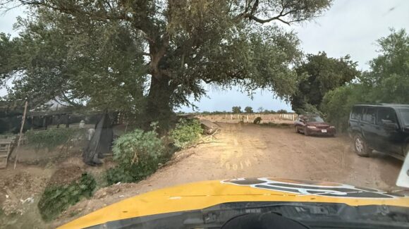 Trece personas, entre ellas cuatro menores, son atacadas por un enjambre de abejas en Los Ángeles del Triunfo, Guasave