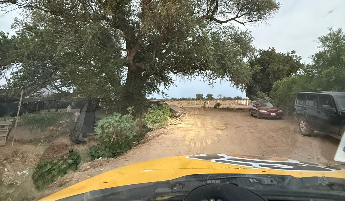 Personas son atacadas por enjambre de abejas en Guasave