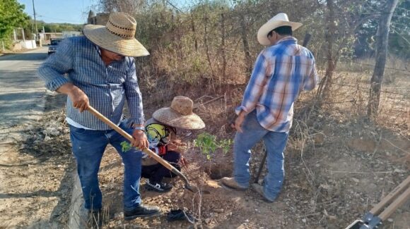 Potrero de Carrasco realiza jornada de limpieza y reforestación con apoyo del Ayuntamiento de Mazatlán