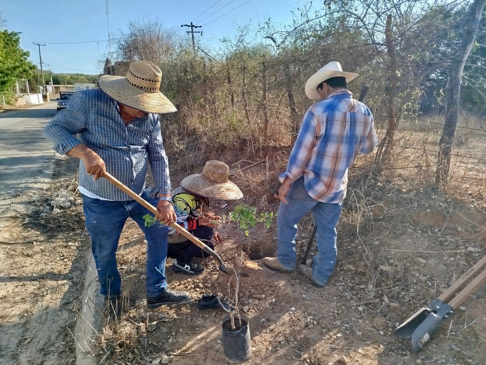 Potrero de Carrasco realiza jornada de limpieza y reforestación