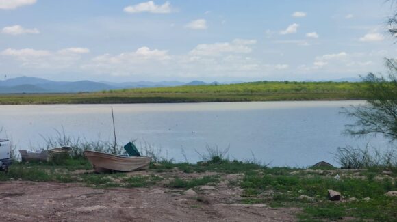 Vigilancia contra la pesca furtiva ya da resultados en la presa Eustaquio Buelna en Guamúchil; esperan una de las mejores temporadas en años