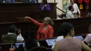 presidenta de la comision de puntos constitucionales y gobernacion juana minerva vazquez gonzalez lugar