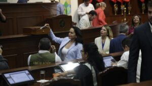 presidenta de la comision de puntos constitucionales y gobernacion juana minerva vazquez gonzalez votaciones