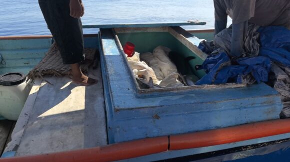 Sorprenden a pescadores en la Reserva de Islas Marías; Marina y Conapesca aseguran 380 kilos de producto en operativo