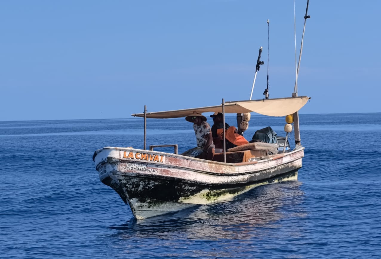 Producto decomisado tras pesca ilegal en Reserva Islas Marías, en Nayarit
