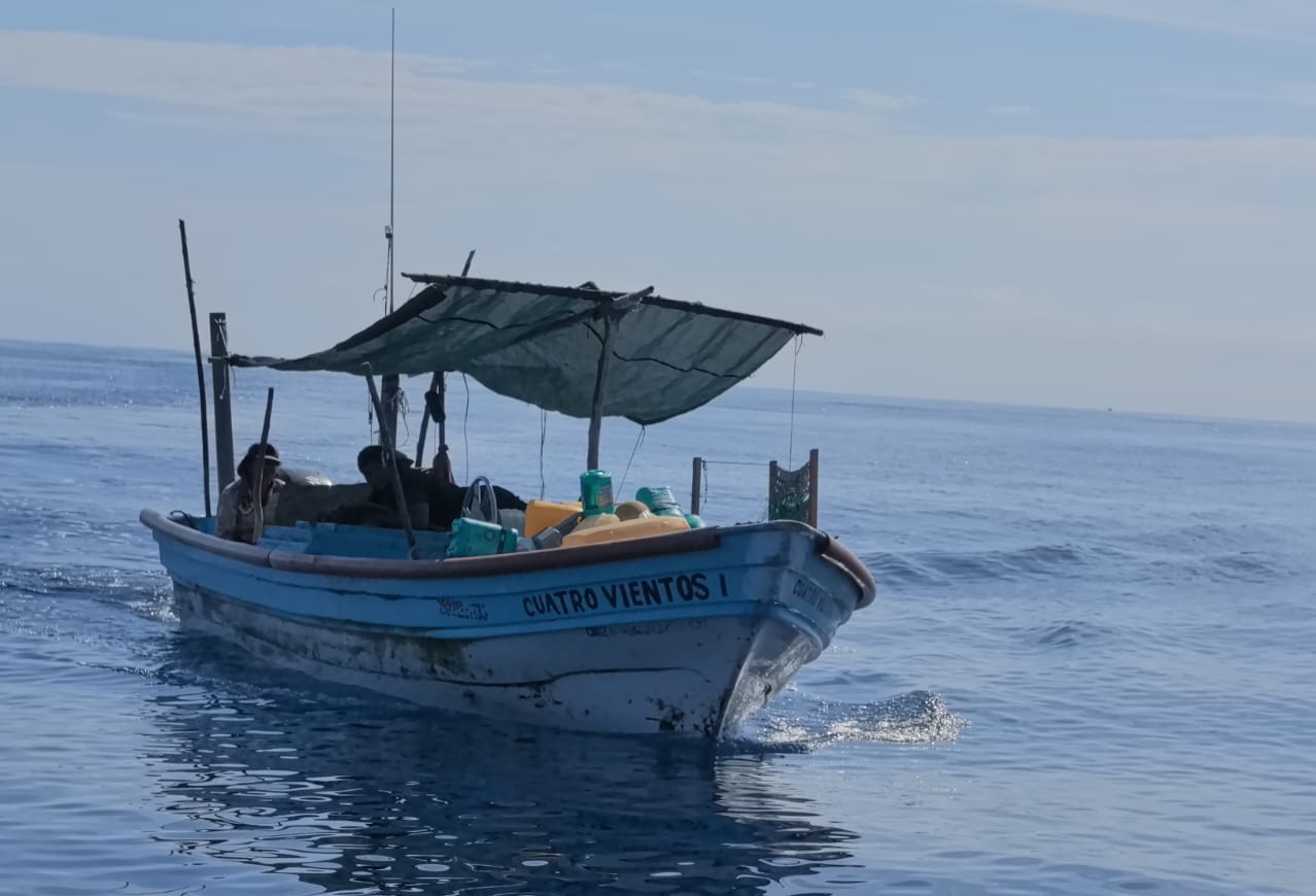 Producto decomisado tras pesca ilegal en Reserva Islas Marías, en Nayarit