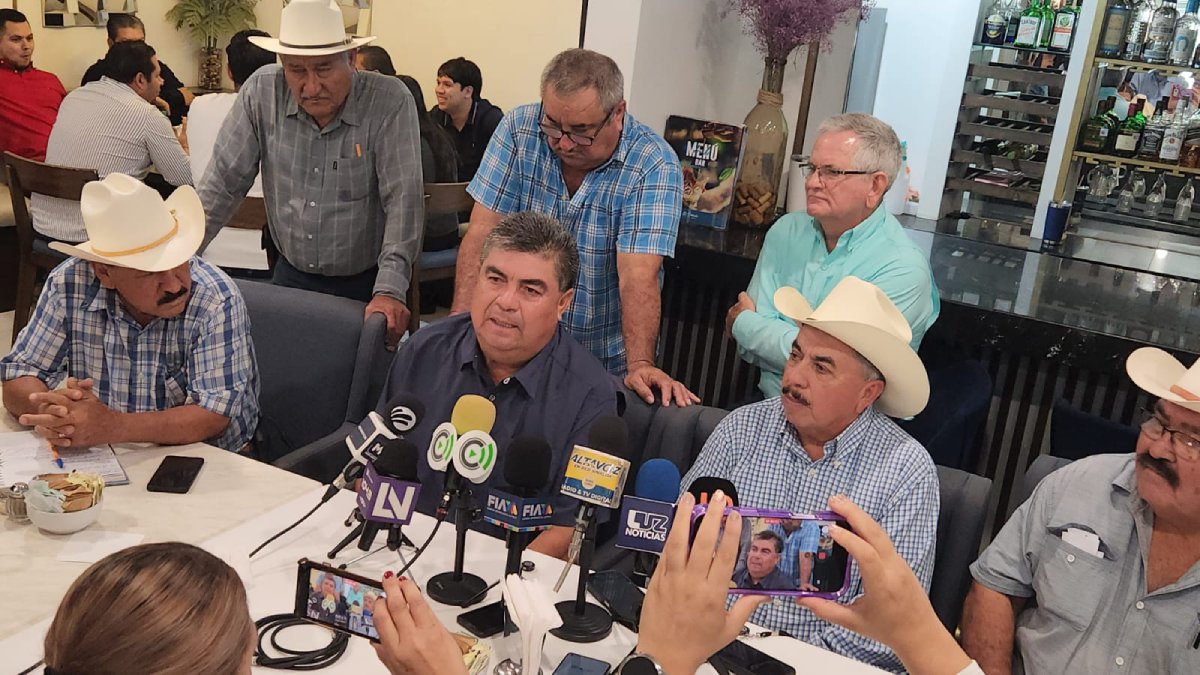 productores de maiz en sinaloa demandan al gobierno federal