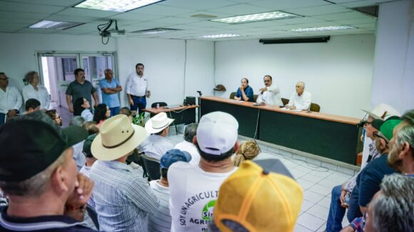 Productores de maíz en Sinaloa se reúnen con autoridades de Sader para exigir apoyos pendientes