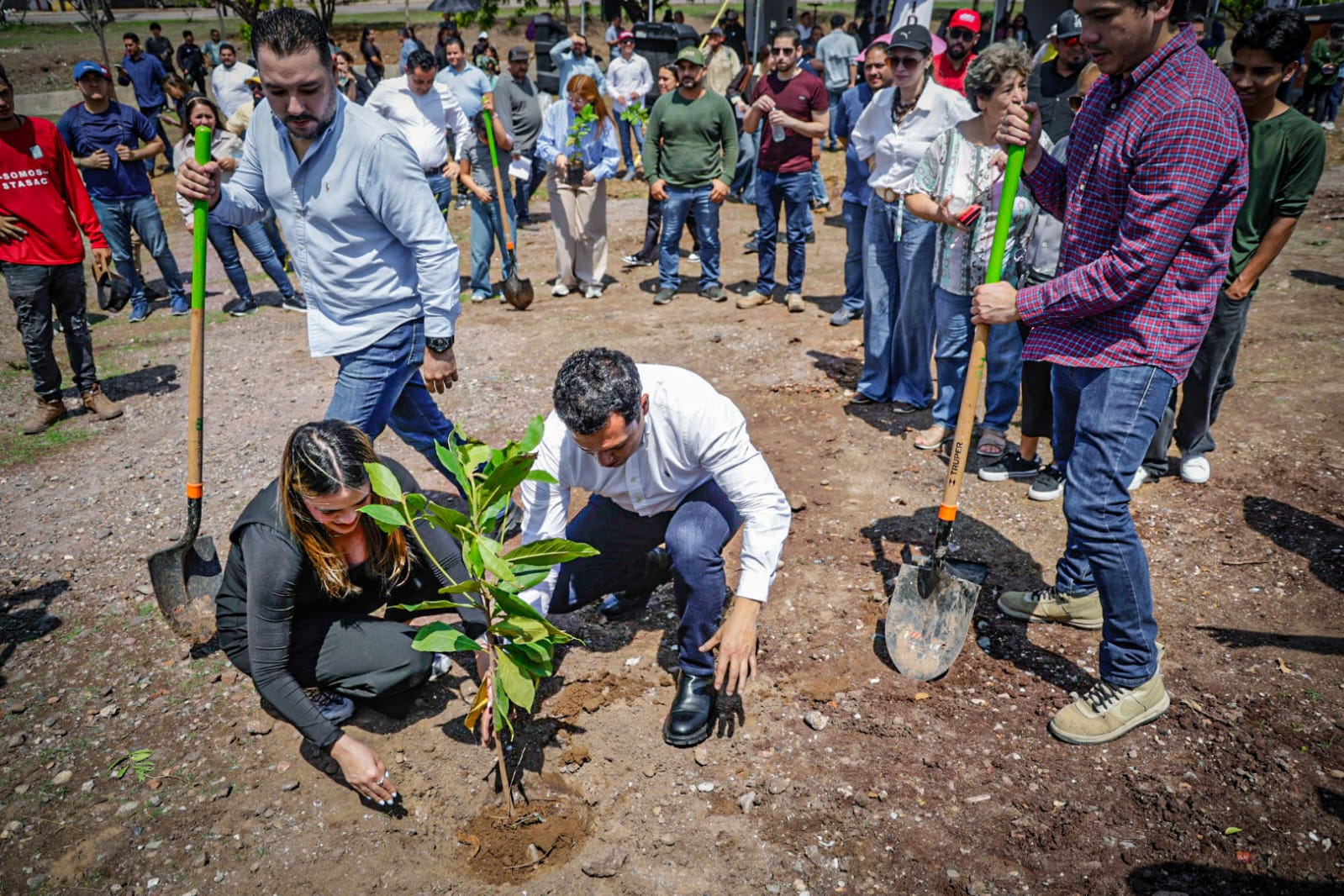 Ayuntamiento de Culiacán y SEBIDES celebran jornada de arborización en el bulevar Agricultores