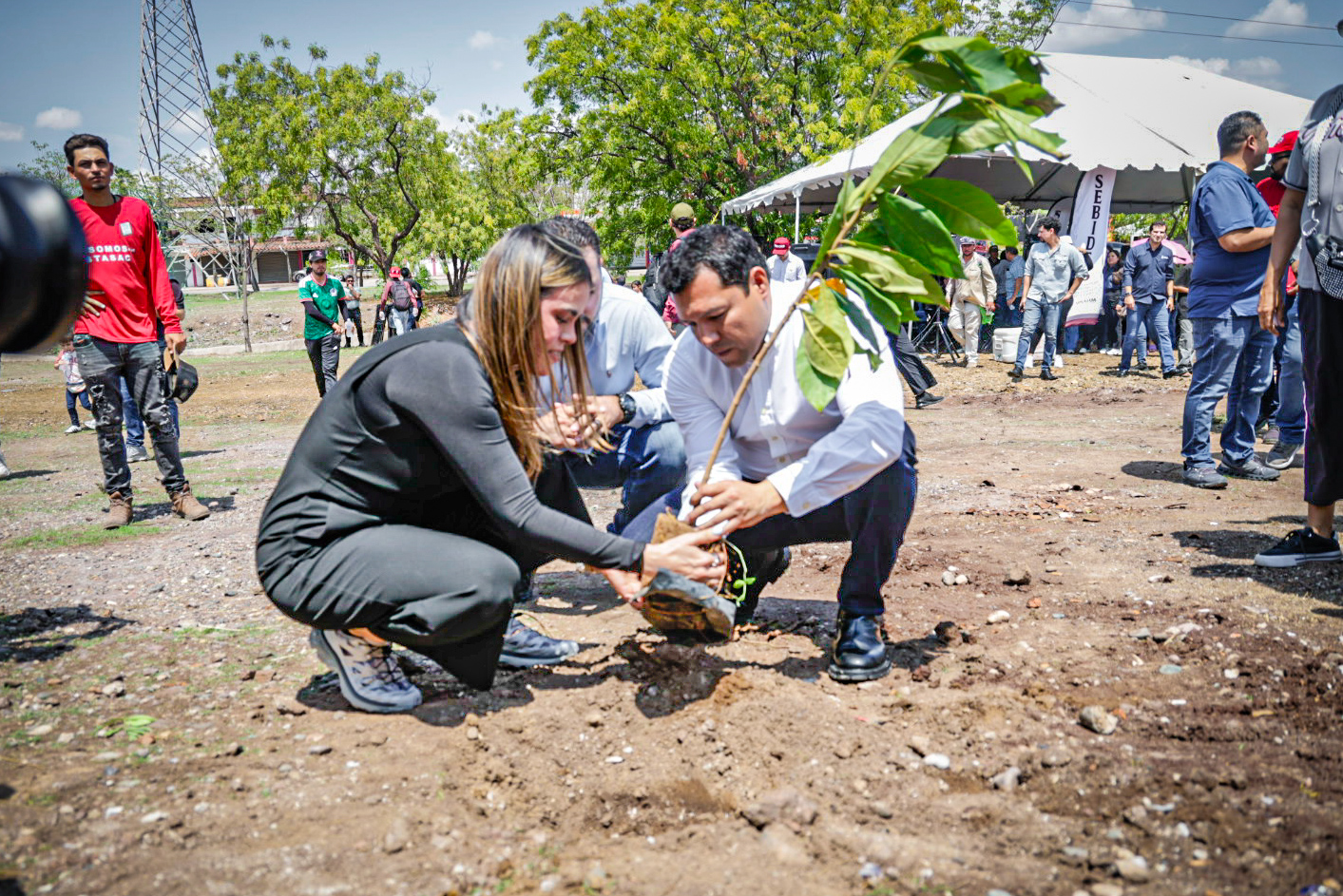 Ayuntamiento de Culiacán y SEBIDES celebran jornada de arborización en el bulevar Agricultores