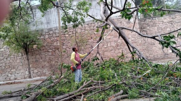 Protección Civil atiende 10 emergencias por fuertes vientos en Culiacán; no se reportan lesionados