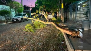proteccion civil atiende 10 emergencias por fuertes vientos en culiacan sin
