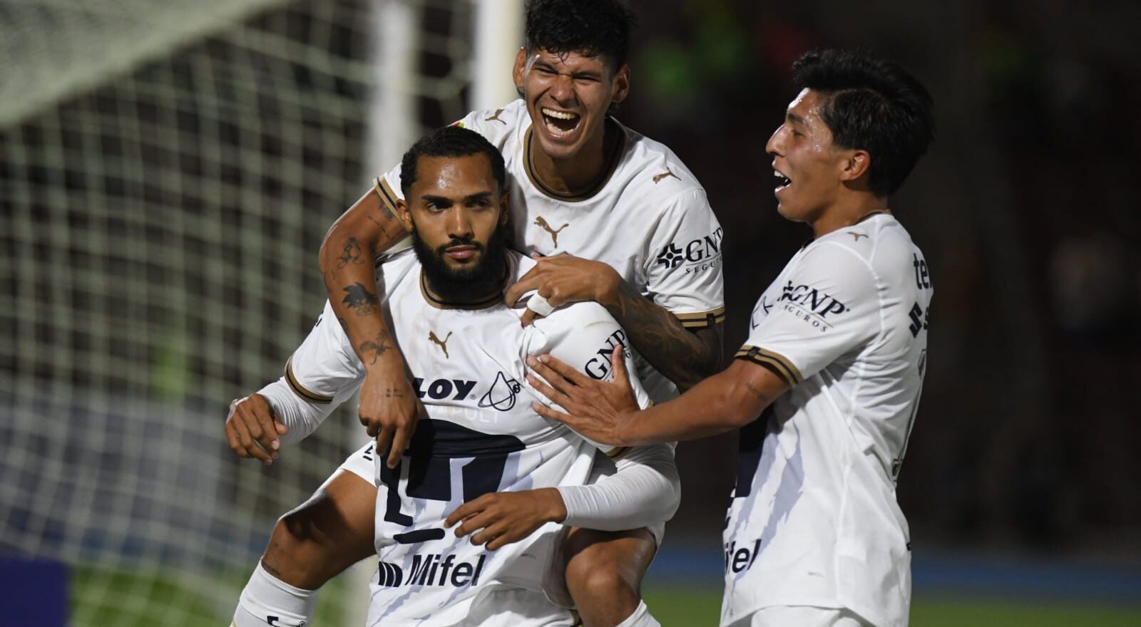 Pumas de la UNAM