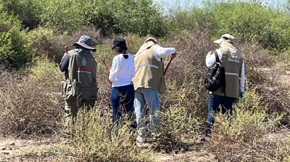 Rastreadoras de Sonora y Sinaloa inician búsqueda de “El Chuma”, joven de Puerto Peñasco desaparecido en Guasave, Sinaloa
