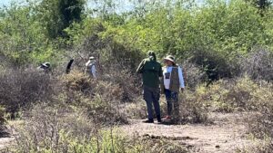 rastreadoras de sonora y sinaloa inician busqueda de el chuma lugar