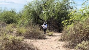 rastreadoras de sonora y sinaloa inician busqueda de el chuma monte