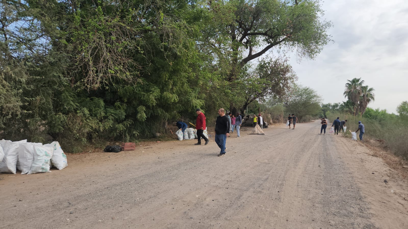 Recogen 100 costales de botellas de vidrio en el río Sinaloa
